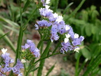 DSCN0058