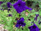DSCN0060