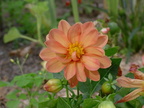 DSCN0062