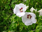 DSCN0065