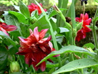 DSCN0066