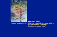 Voeux 2011 J. Castell